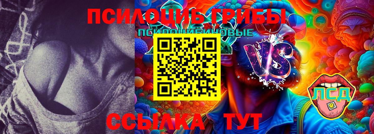 Выборг  Галлюциногенные грибы Magic Shrooms  Вход с VPN 