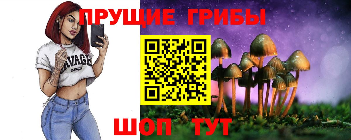Бутират Выборг